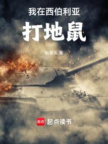 二十三世纪漫游指南