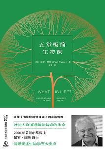 追梦荣耀不止
