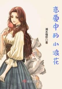 天龙正传