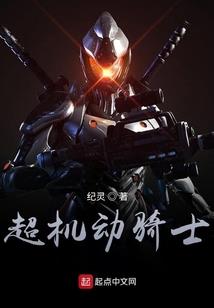 惹祸王妃：王爷请善后