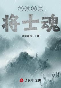 孤剑奇侠