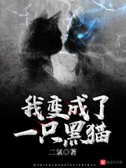 精灵宝可梦之空