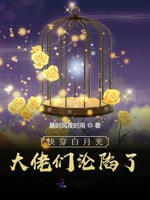 游园惊梦之红楼梦杀人事件