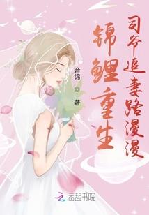 老鼠撞上狼
