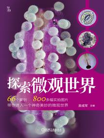 穿越之幸福下半身