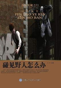 全能侦探所