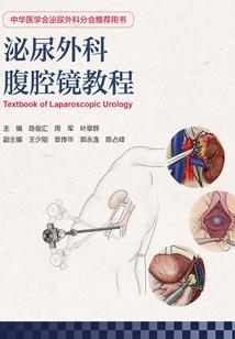 拽小子恋上犟丫头