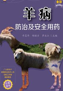 五行现世英雄传