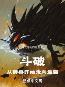 神奇宝贝之至尊之路