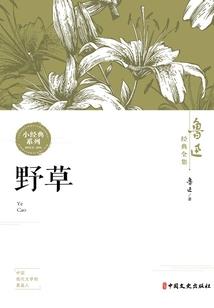 至尊无赖之修仙