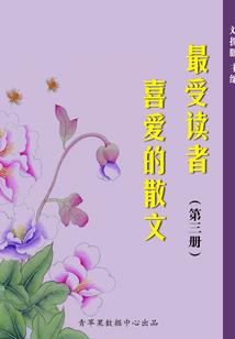 阳光王子霸上傻丫头
