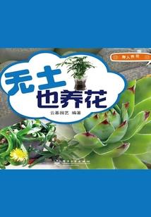 遗落人间的天狐公主