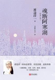 史上最强黑客系统