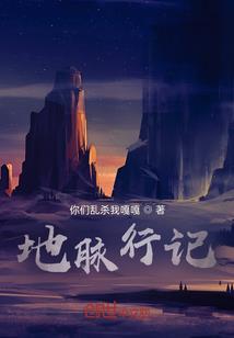 网游：终焉决斗