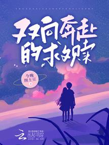 穿越我要做大侠