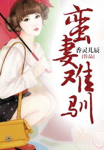 八儿传