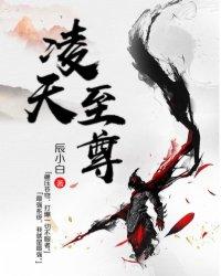 剑帝之殇