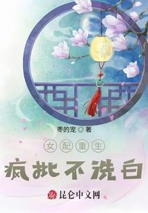 盗神夜玖歌