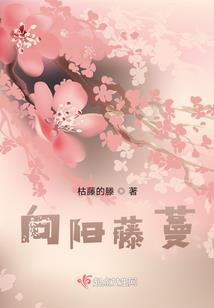 梦境奇遇记1