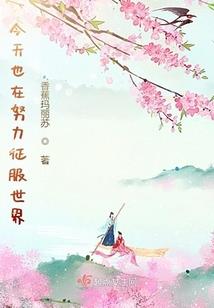 木叶：这个选择太棒了