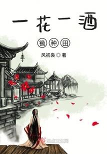 来自华夏的NPC