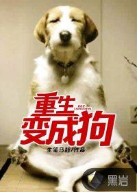 霸道总裁的小迷糊娇妻