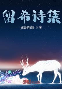 风之书西游篇