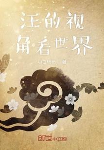 傻瓜王爷睿智王妃