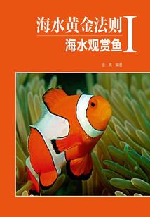 楚乔传之婉玥的爱恋