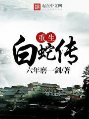 谍影迷局