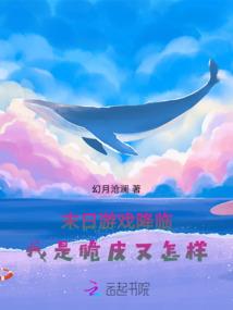 代号天穹