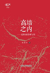 傻女天才
