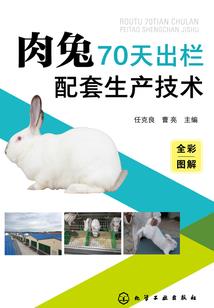 银河试炼场