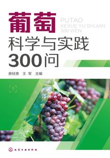 请明白我爱你