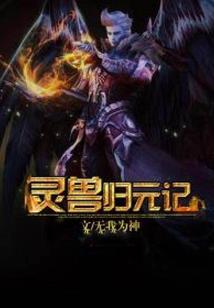都市修仙之飞升之后