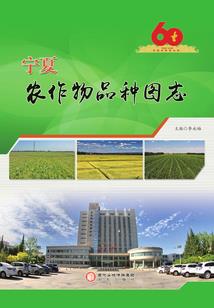 枭雄风云