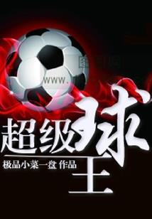 精灵宝可梦之最强训练师