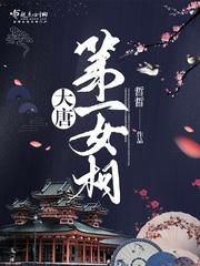 海贼之平天