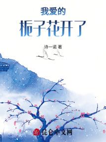 夜凤柳凰