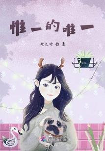 天扉传奇