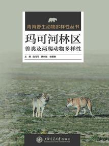 哥尔赞的奥特漫游