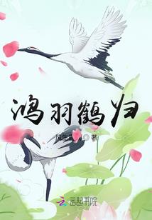 重生军嫂是大神：老公，坏坏宠