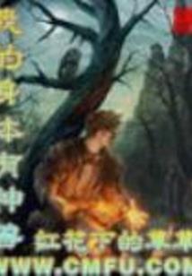 异世界之完美演绎