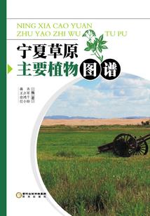 截拳传人