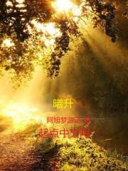 大梦无痕一眼万年