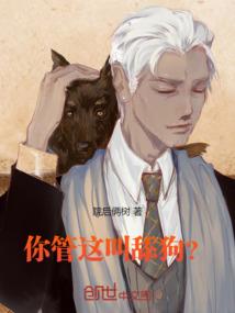神域边际