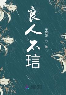 万古星河我为君外传守界