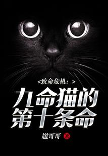 九棍