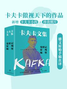 海贼王之游荡者