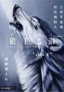 再来一次护你一世